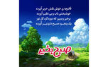 فال روزانه شخصی/ 24 تیر ماه + فیلم